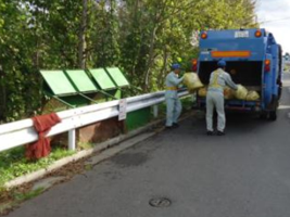 写真：収集の様子