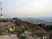 平塚市の観光情報