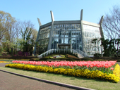 グリーンセンター