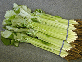 ブランド野菜「八尾若ごぼう」