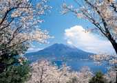 鹿児島のシンボル　桜島