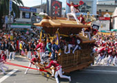 写真：岸和田だんじり祭