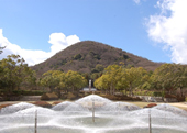 甲山森林公園