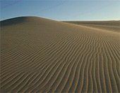 写真：日本最大級の砂丘