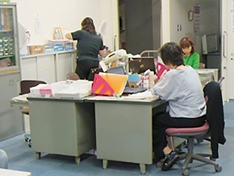 写真：数人の女性スタッフが机に向かって作業している様子