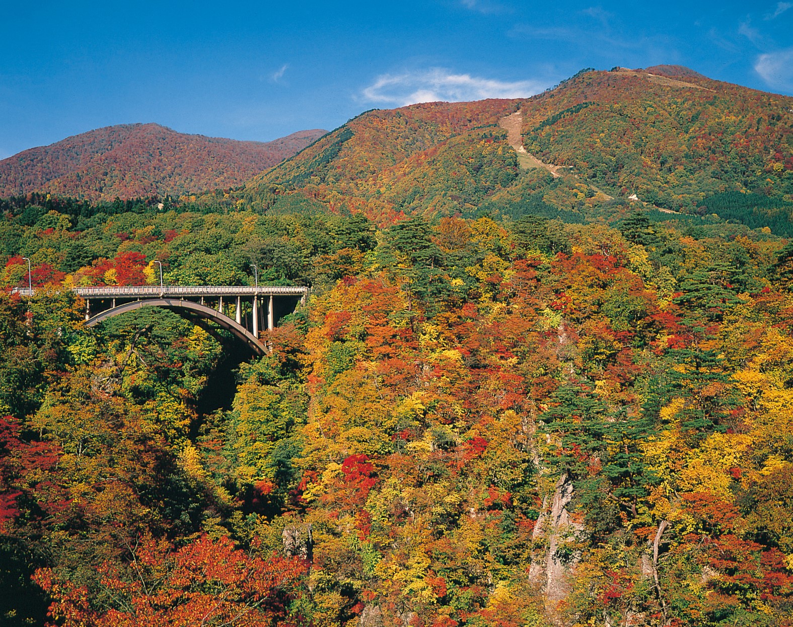 スライダー画像2